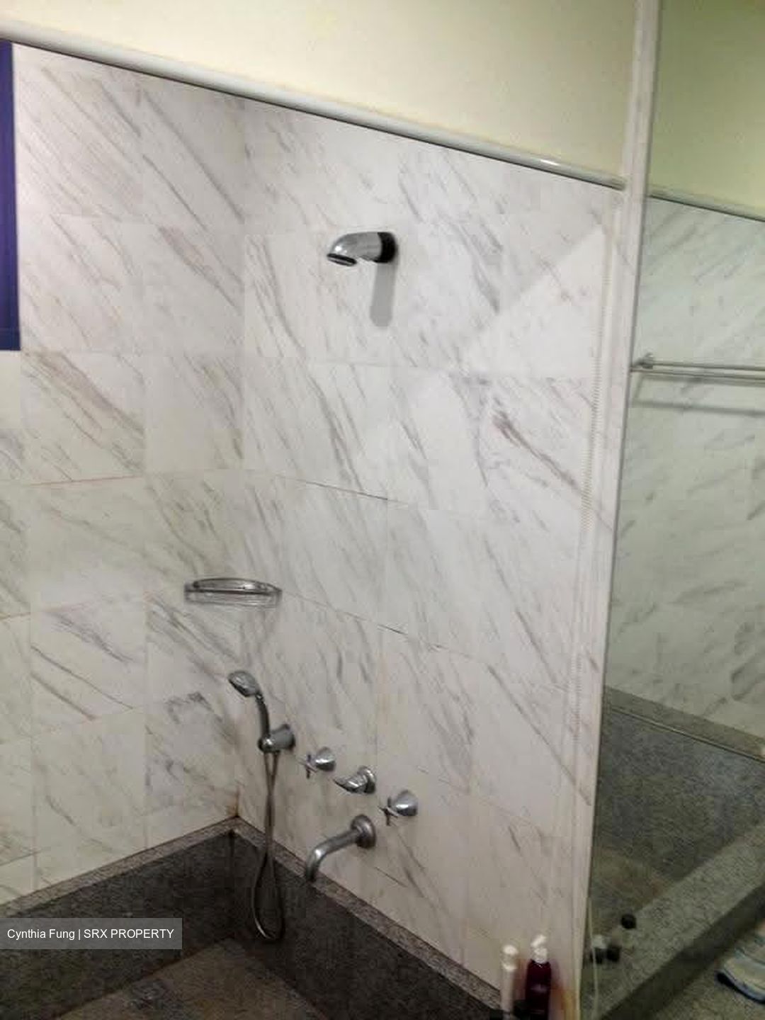 Water Place (D15), Condominium #615156311
